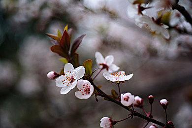 《破晓传说》16分钟全新实机视频 展示别祖Boss战